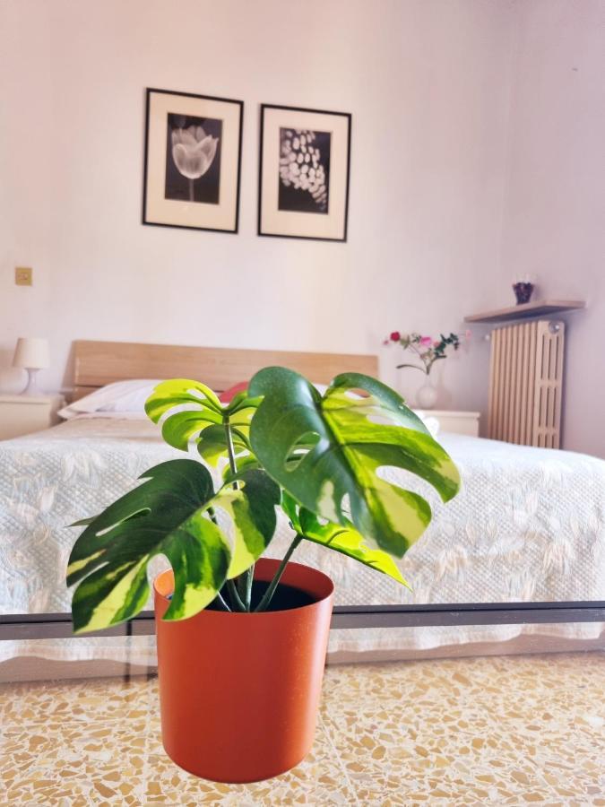 Prime Guest House Pisa Exterior foto